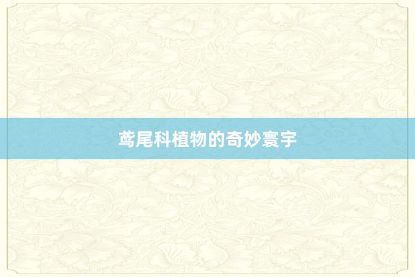 鸢尾科植物的奇妙寰宇