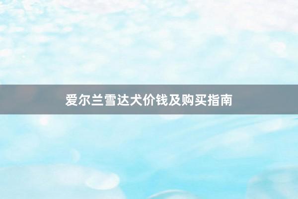 爱尔兰雪达犬价钱及购买指南